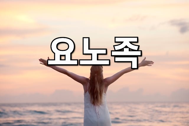  뉴라이프스타일 요노족 뜻 : 결혼 출산 난 몰라!