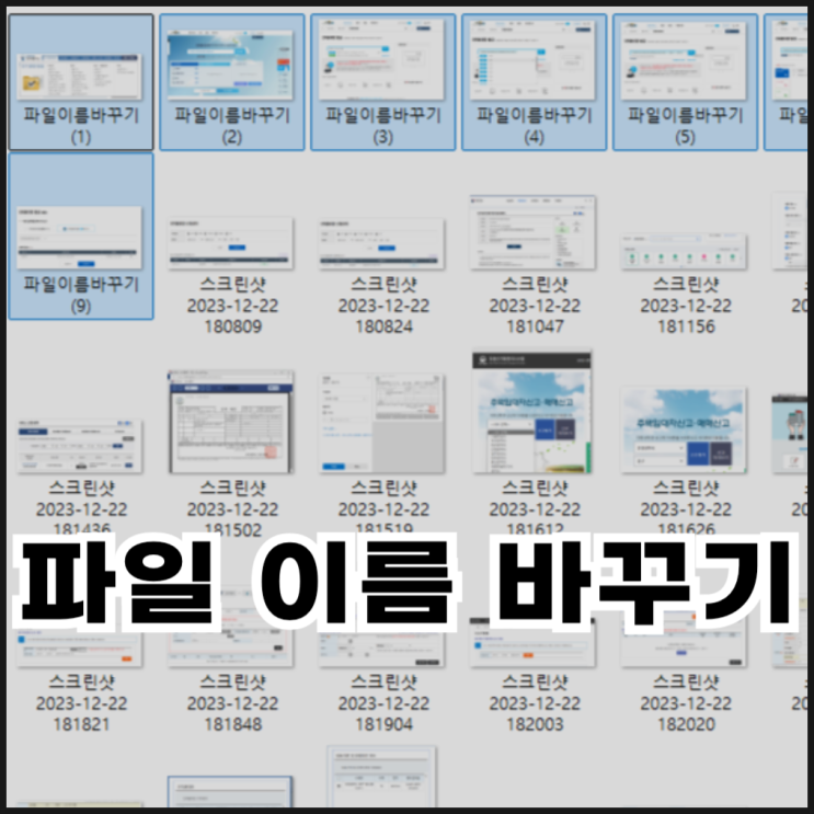  파일 이름 바꾸기 단축키 및 일괄 변경 방법