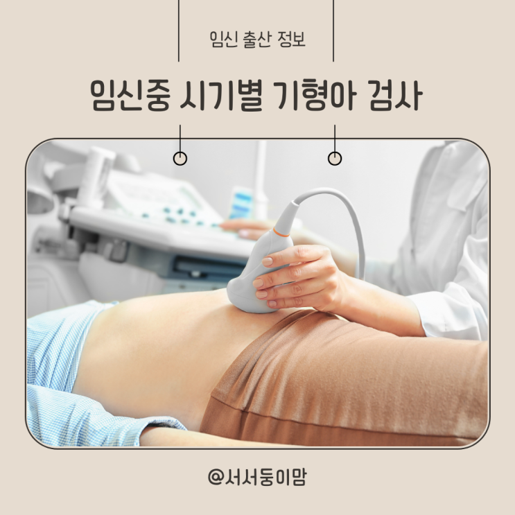  임신중 기형아 검사 시기별 검사 종류