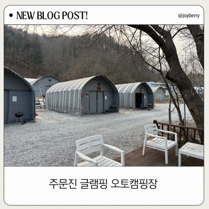 사진 3