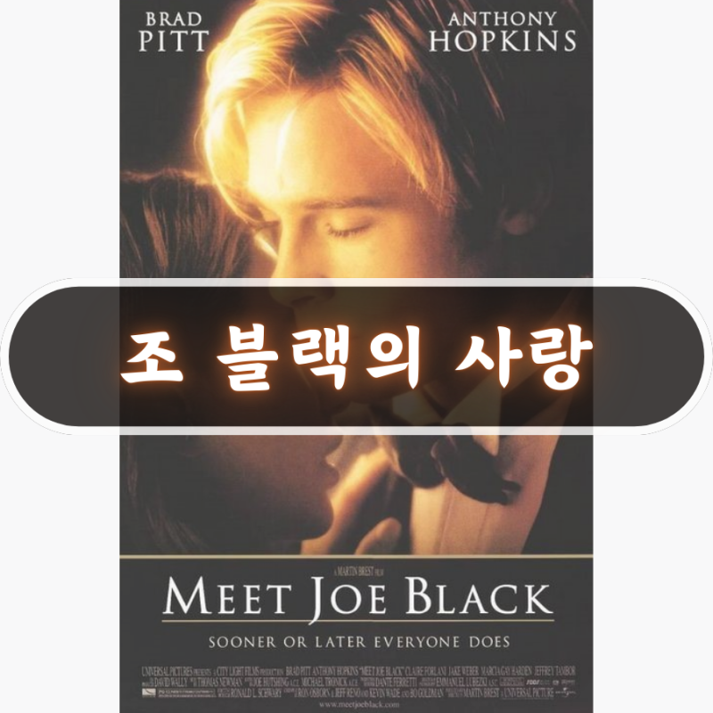 조 블랙의 사랑 후기 브래드 피트