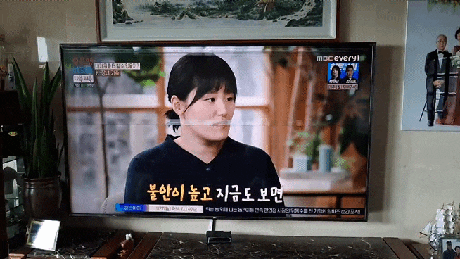  86인치tv 패널불량 , 화면이 줄가고 지직거릴때 남양주 출장수리