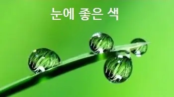  눈에 좋은 색 눈에 나쁜 색 상식