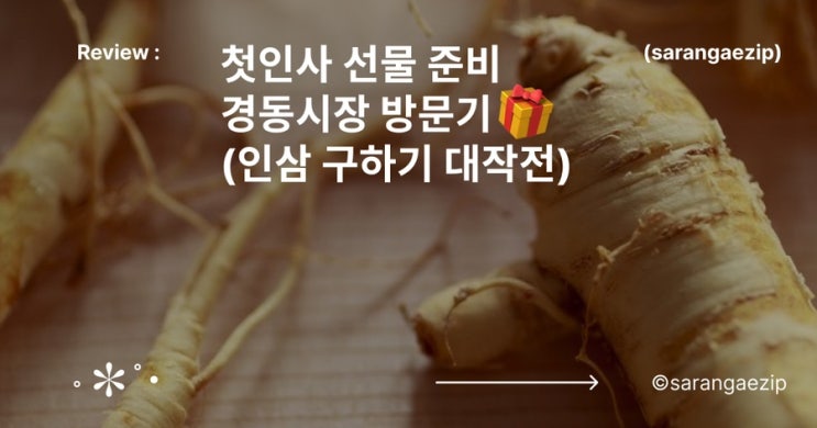  부모님 첫인사 선물로 인삼 세트 (인삼 고르는 법, 경동시장, 덕원인삼사, 가볼만한 곳)