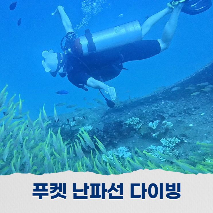  푸켓 펀다이빙 난파선의 신비와 바다의 매력에 빠지다