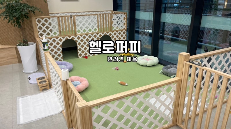 헬로퍼피