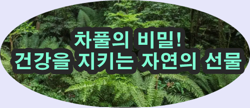  차풀의 놀라운 효능과 차 대용 활용법 총정리