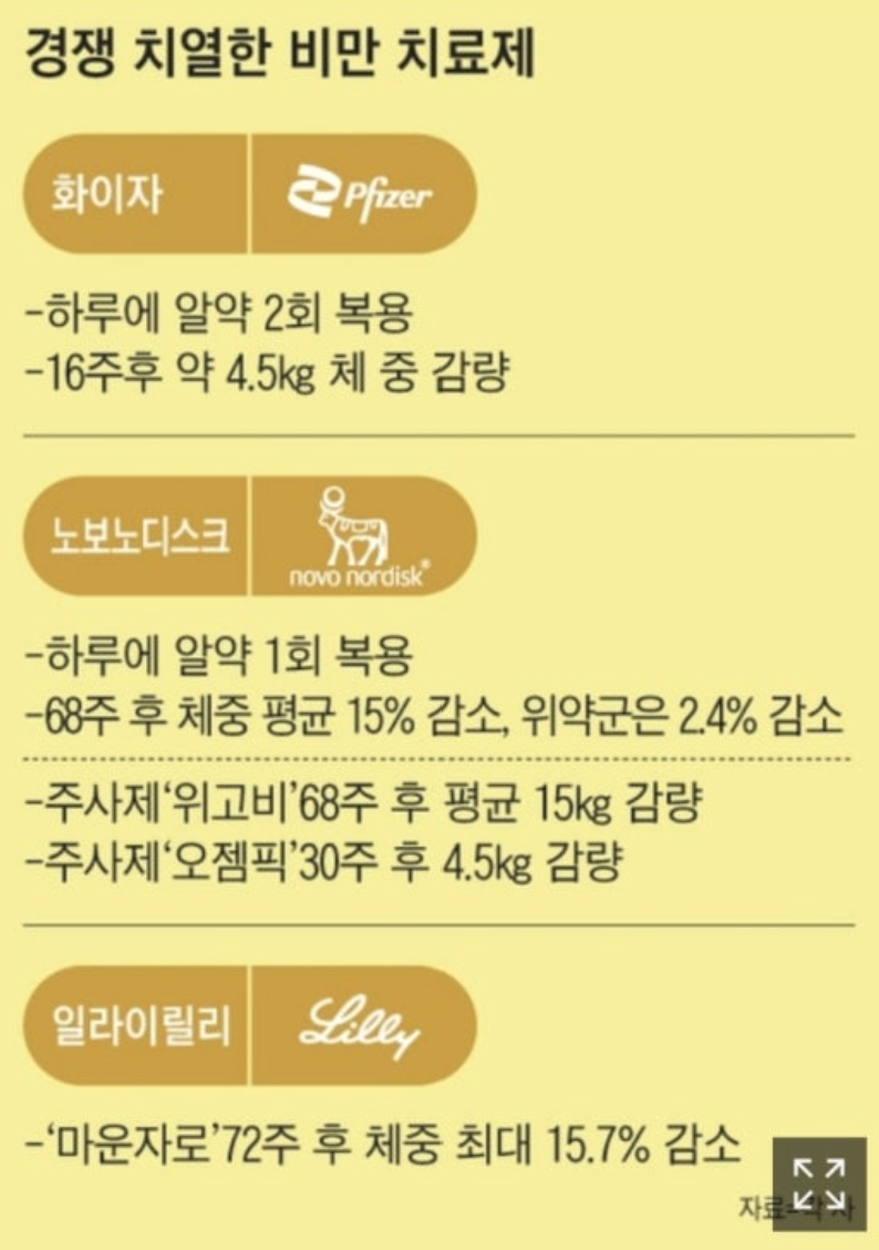 노보노디스크 폭락! 이대로 괜찮을까? (주가전망!) : 네이버 블로그