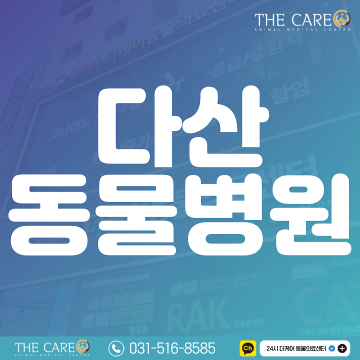  다산동물병원 강아지 폐렴 원인과 대처방법