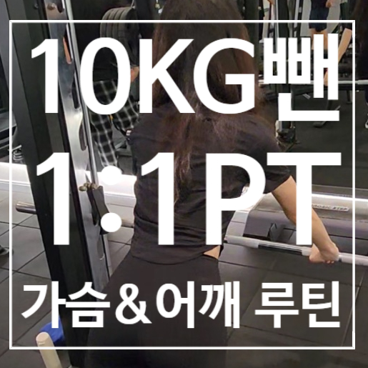  [일산헬스장] PT 10kg 이상 뺀 가슴&어깨 루틴
