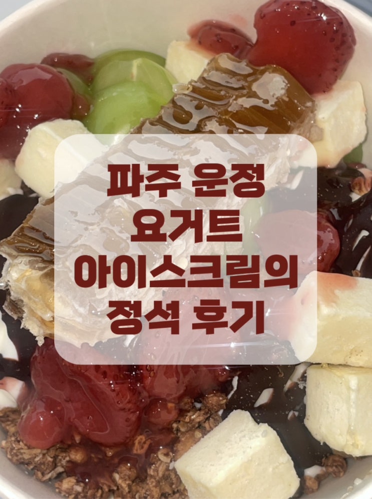  [파주 운정] 그 유명한 요거트아이스크림의정석 요아정 운정신도시점 후기 메뉴 및 꿀조합 추천