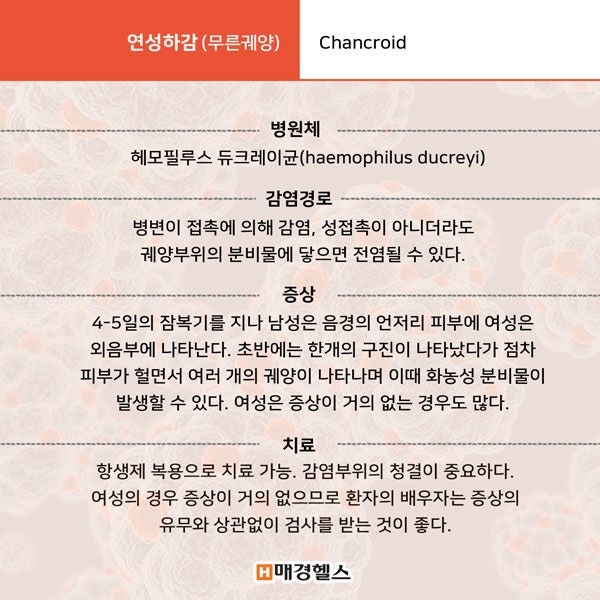 헤모필루스 듀크레이 궤양