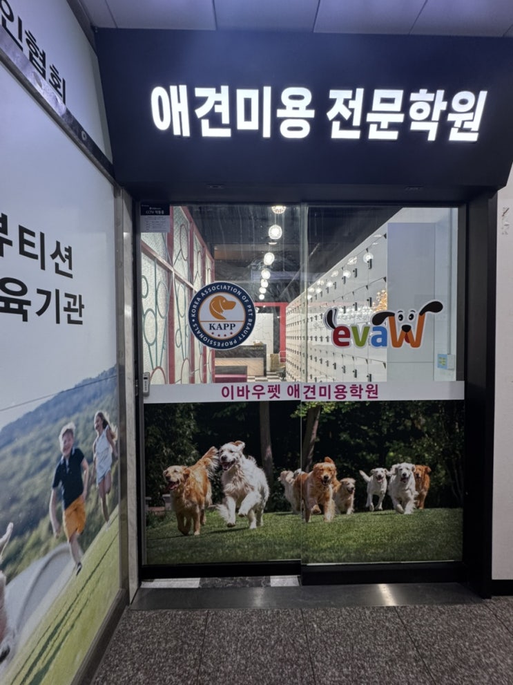  이바우펫 애견미용학원 평택역 장학생 1기 되는 방법