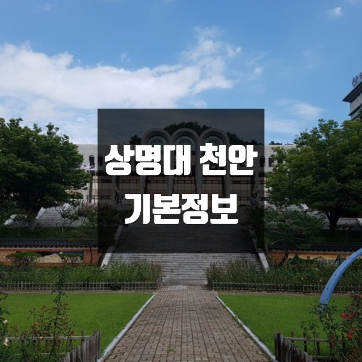 상명대 천안 대학정보 (학생수, 교수수, 기숙사 / 설치학과 & 전공, 수시·정시 경쟁률)