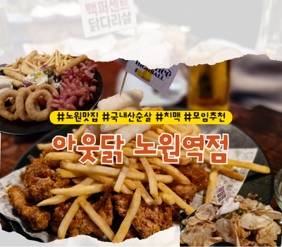  [노원 맛집] 단체모임 추천 치맥하기 좋은 노원역 치킨집 :: 아웃닭 노원역점