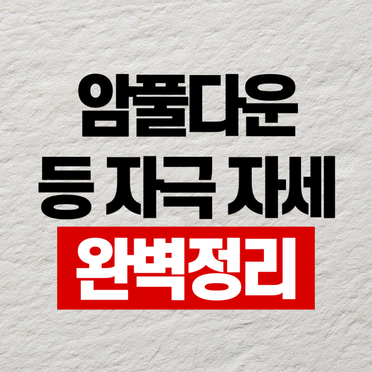  암풀다운 삼두에만 자극된다면 자세 이렇게 해보세요