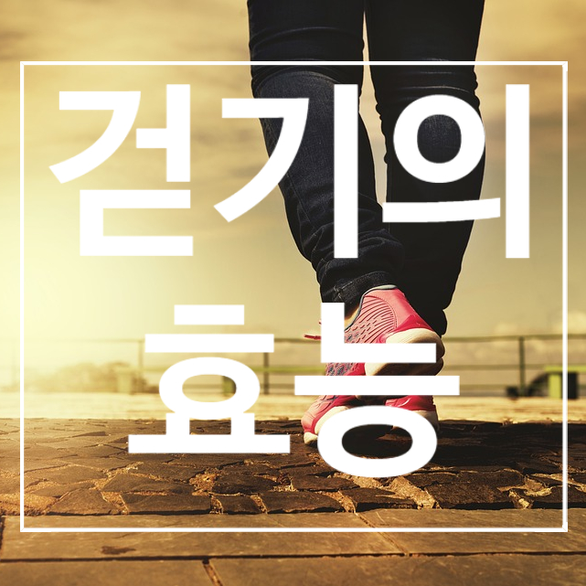  [탄현헬스장] 걷기의 효능