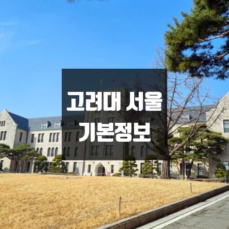 고려대 서울캠퍼스 대학정보 (학생수, 교수수 / 설치학과 & 전공, 수시·정시 경쟁률)