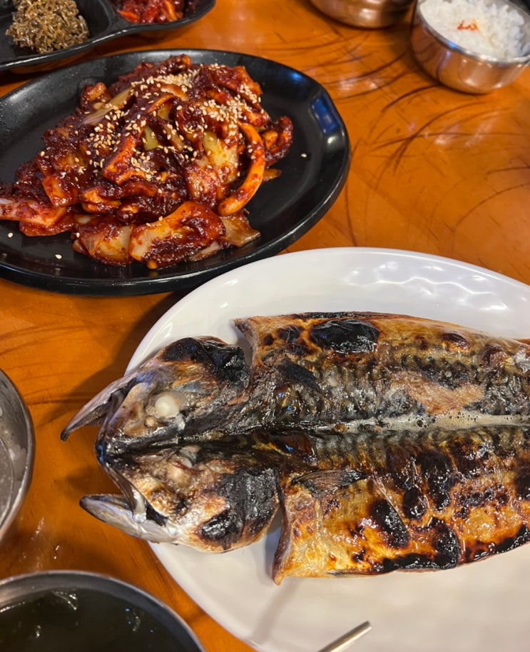  풍자 또간집 신촌 찐맛집 고삼이ㅣ불맛오징어볶음,고등어구이 최고