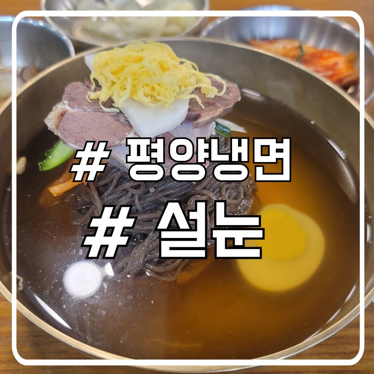  서울에서 맛보는 평양, 서초 평양냉면 맛집 설눈
