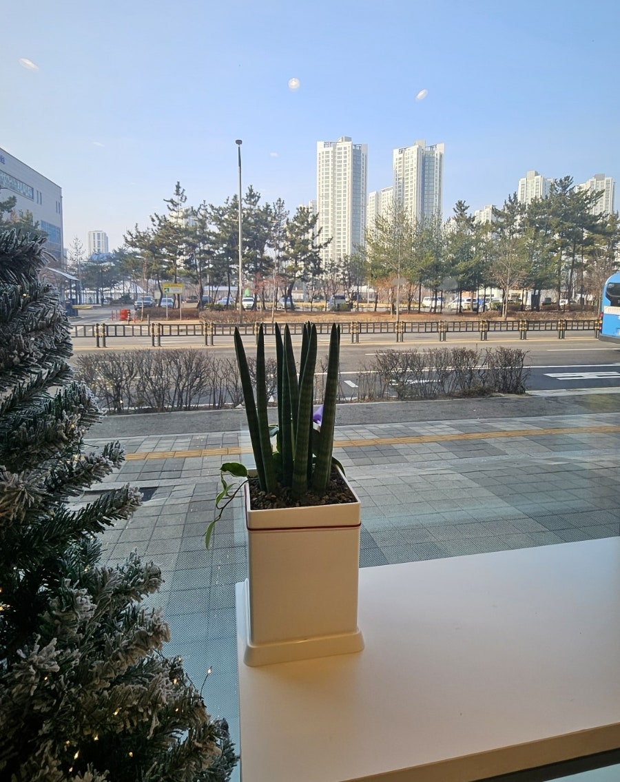 카페만월경 영종하늘점 사진 2