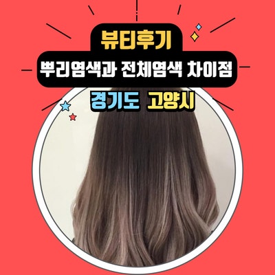  뿌리염색과 주기와 전체 염색시 주의사항