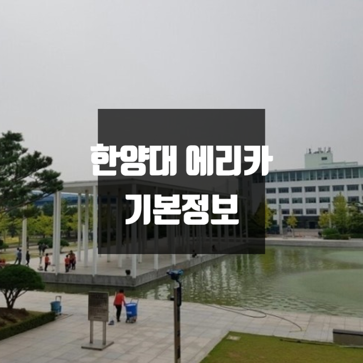 한양대 에리카 대학정보(학생수, 교수수, 기숙사 / 설치학과 & 전공, 수시·정시 경쟁률)