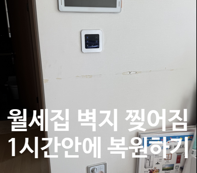  월세집 벽지 찢어짐 복원 1시간으로 해결