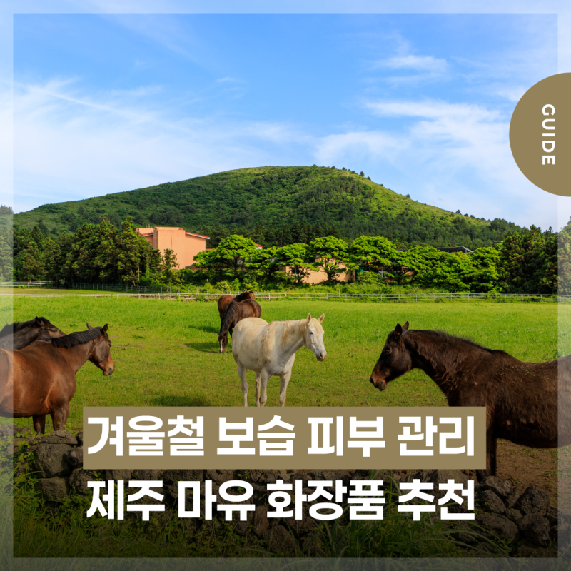겨울철 피부관리, 보습력 알차게 채울 수 있는 JDC면세점 제주 마유 화장품 추천