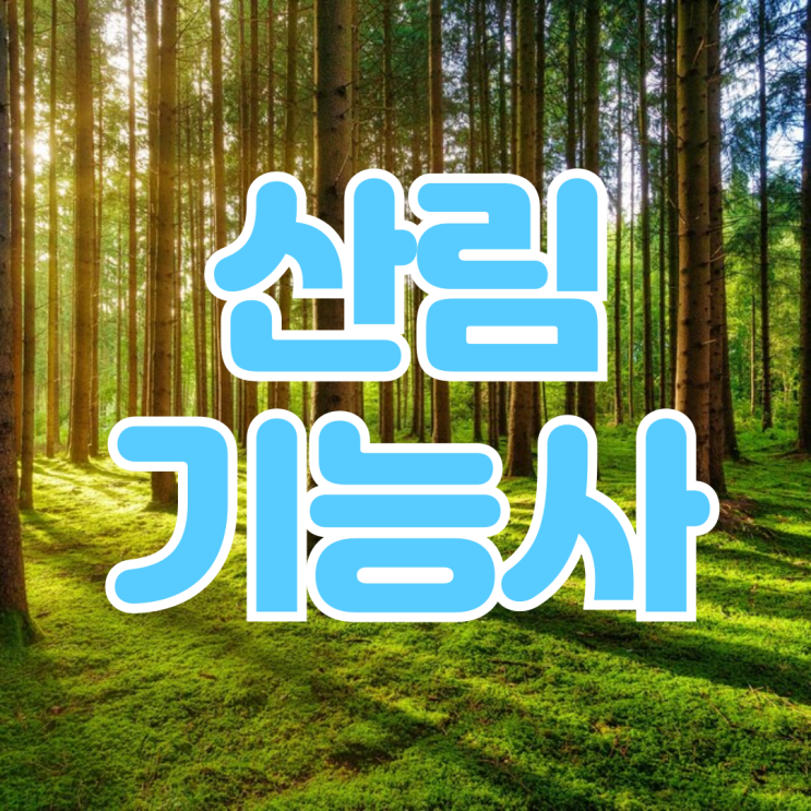  산림기능사 취득 후 취업 전망과 합격 팁