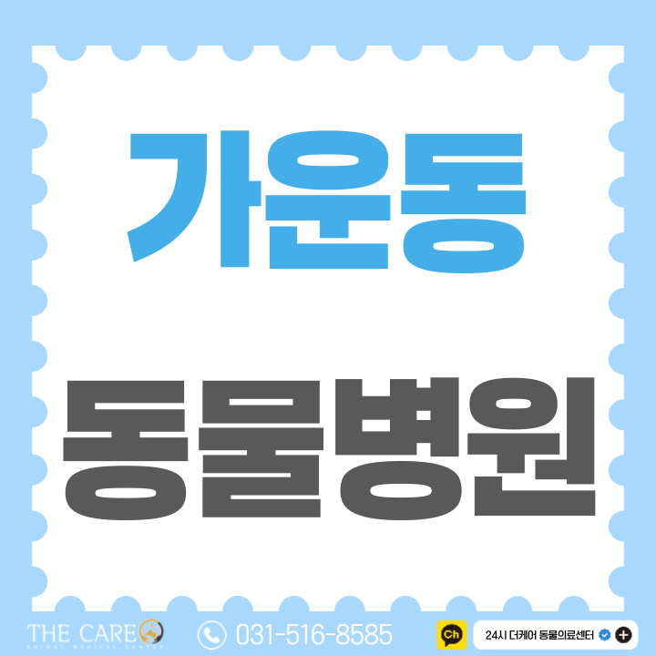  가운동 동물병원 강아지 홍역 원인과 대처방법