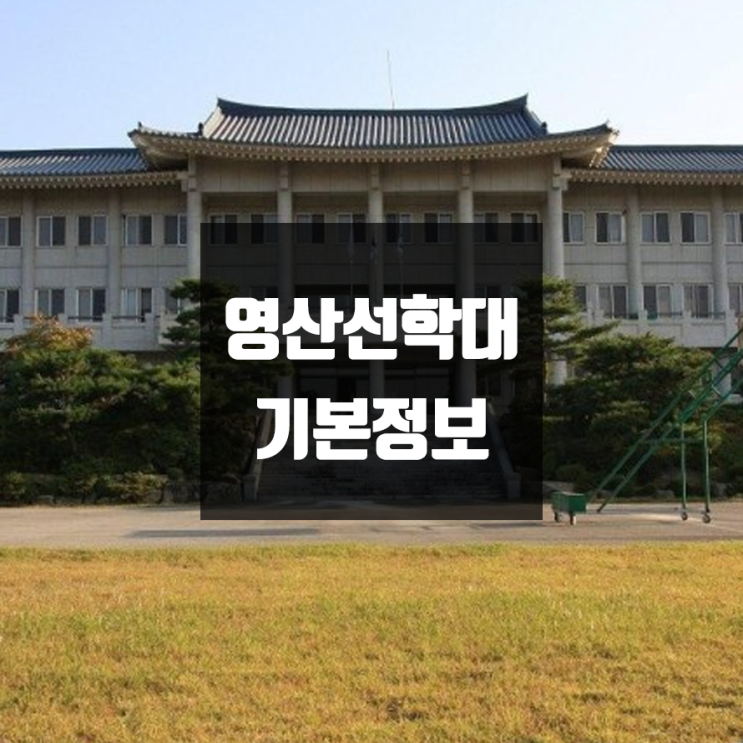 영산선학대 대학정보 (학생수, 교수수, 기숙사 / 설치학과 & 전공, 수시·정시 경쟁률)