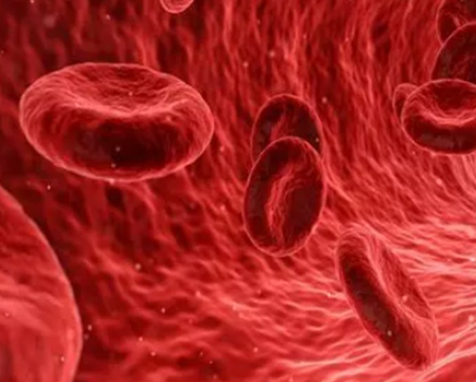  혈색소 수치 낮으면 높으면 증상, 당화혈색소 정상수치 낮추기 관리 방법