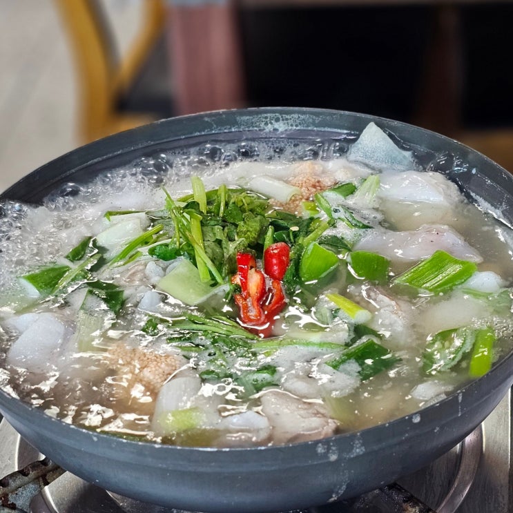  강원도 속초 맛집 동명항 동해물곰탕