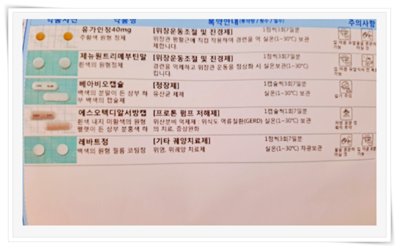 그레이온 골드 카무트효소 효능 및 솔직 사용후기