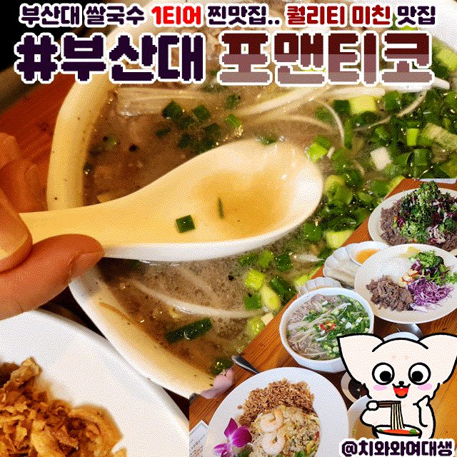  금정구 맛집 쌀국수 포맨티코 장전동 점심 밥집 추천
