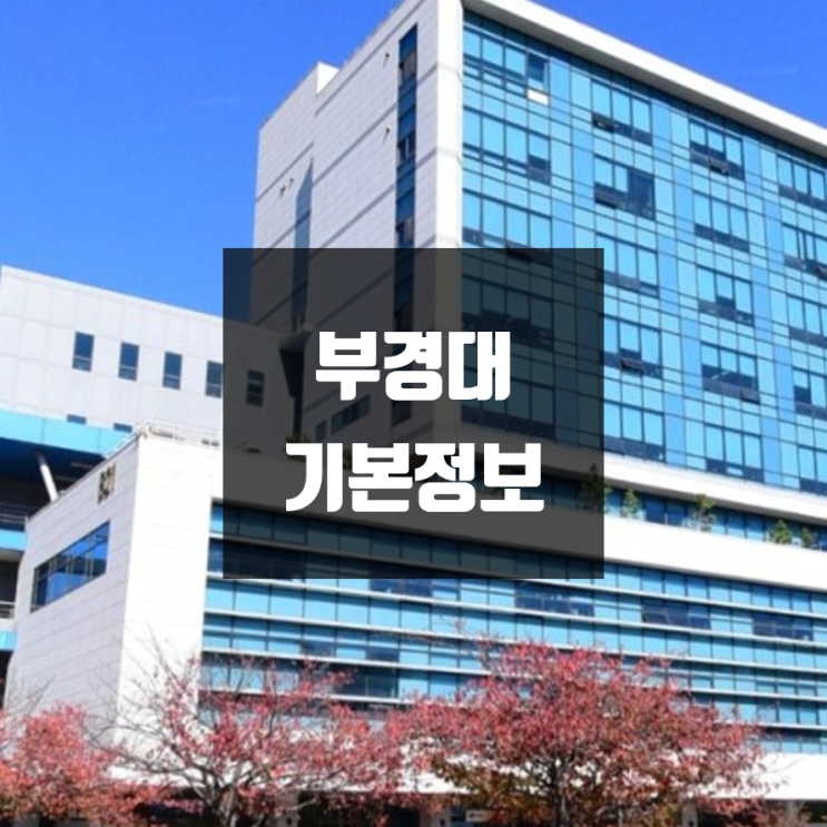 부경대 대학정보 (학생수, 교수수, 기숙사 / 설치학과 & 전공, 수시·정시 경쟁률)