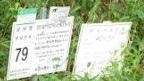  2025년 김천시 어모면 다남리산 분묘보상 3기 자동차서비스 복합단지 및 주행시험장 조성사업 고인돌장의사 #손없는날 #윤달 #벌초 #이하늘장사 #장의사 #이장 #화장