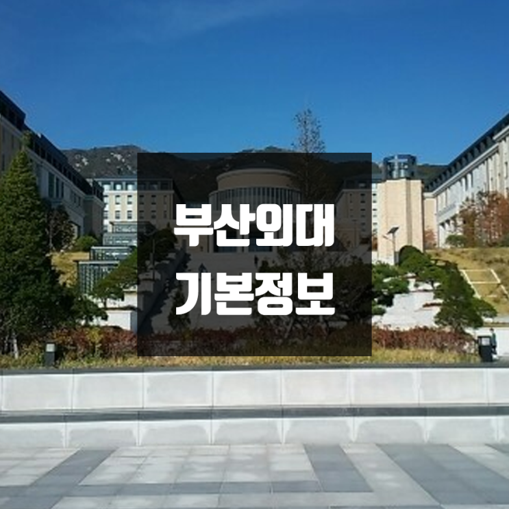 부산외대 대학정보 (학생수, 교수수, 기숙사 / 설치학과 & 전공, 수시·정시 경쟁률)