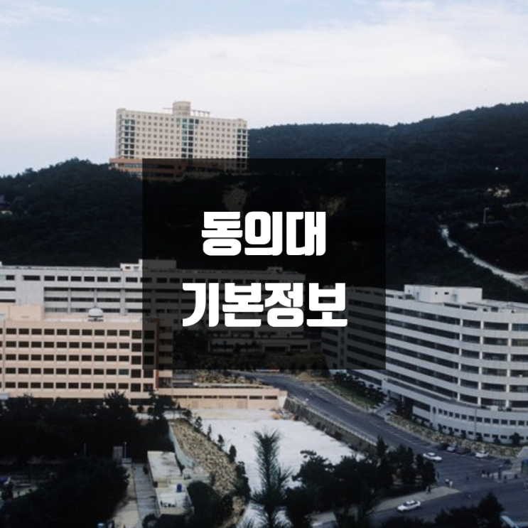 동의대 대학정보 (학생수, 교수수, 기숙사 / 설치학과 & 전공, 수시·정시 경쟁률)