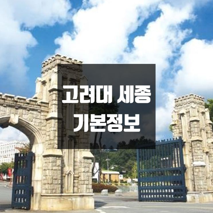 고려대 세종 대학정보 (학생수, 교수수, 기숙사 / 설치학과 & 전공, 수시·정시 경쟁률)
