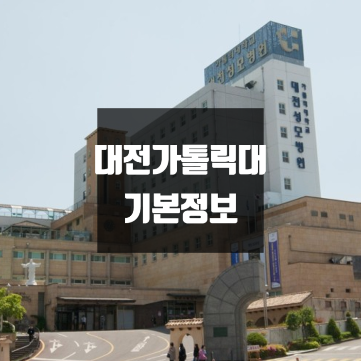 대전가톨릭대 대학정보 (학생수, 교수수, 기숙사 / 설치학과 & 전공, 수시·정시 경쟁률)