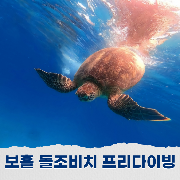  보홀 돌조비치 프리다이빙 포인트 워크인과 보트다이빙 방법