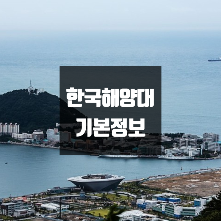 한국해양대 대학정보 (학생수, 교수수, 기숙사 / 설치학과 & 전공, 수시·정시 경쟁률)