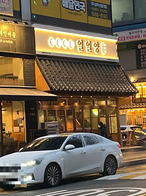  영통구청 맛집 회식장소로 좋은 양고기 맛있는 집 일일양