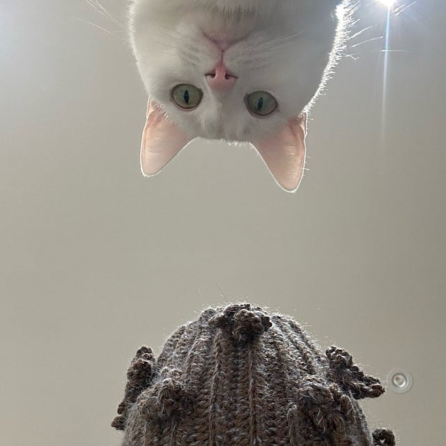 낭만파 집순이의 주말