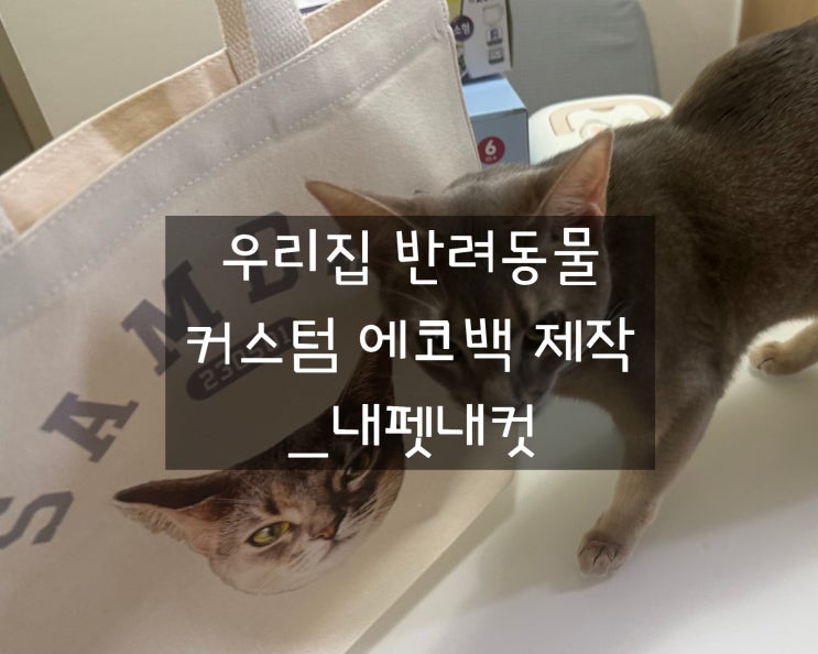  반려동물 커스텀으로 에코백제작 하기! 반려묘 인생가방 프린트가 엄청 고퀄!_내펫내컷