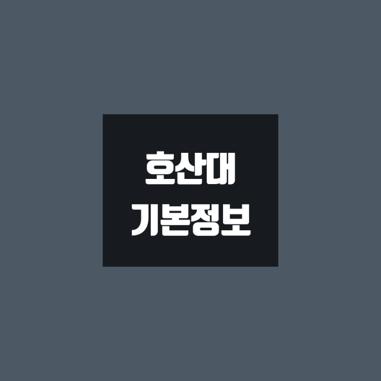 호산대 대학정보 (학생수, 교수수, 기숙사 / 설치학과 & 전공, 수시·정시 경쟁률)