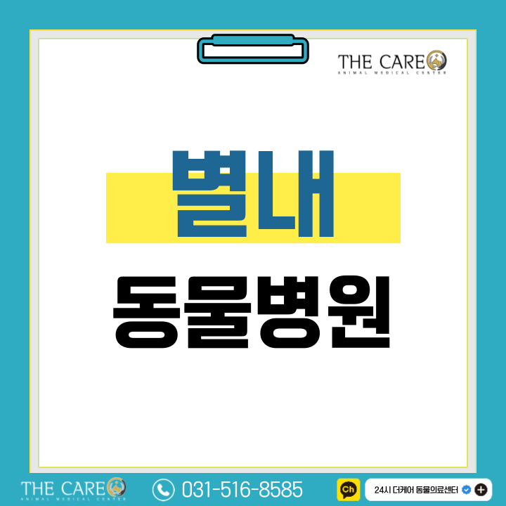  별내동물병원 강아지 간질 원인 대처법