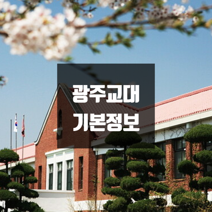 광주교대 대학정보 (학생수, 교수수, 기숙사 / 설치학과 & 전공, 수시·정시 경쟁률)